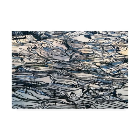 Trademark Fine Art George Doupas 'Earth Carpet' Canvas Art, 16x24 1X08379-C1624GG